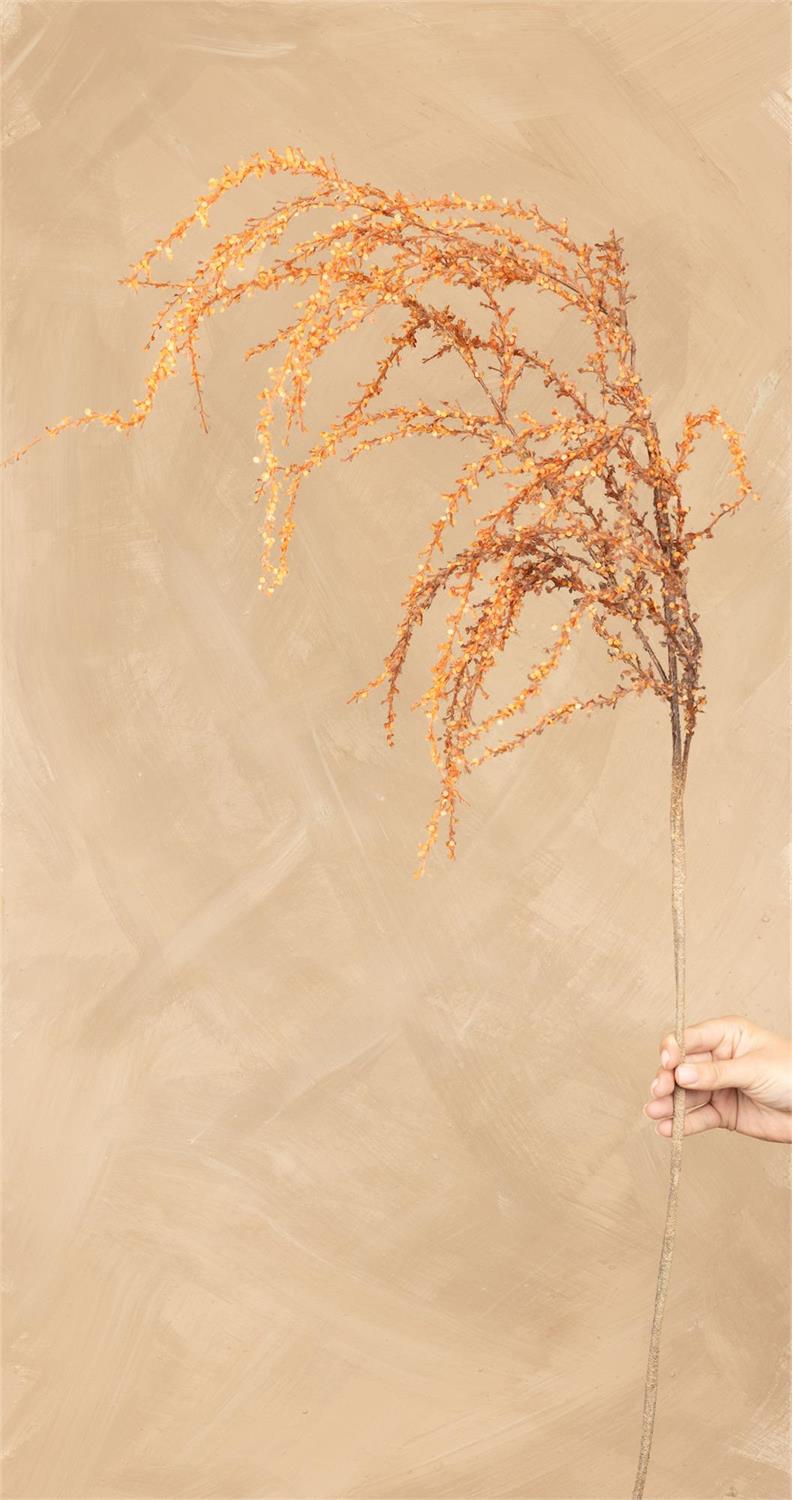 Stem - Tamarisk Orange