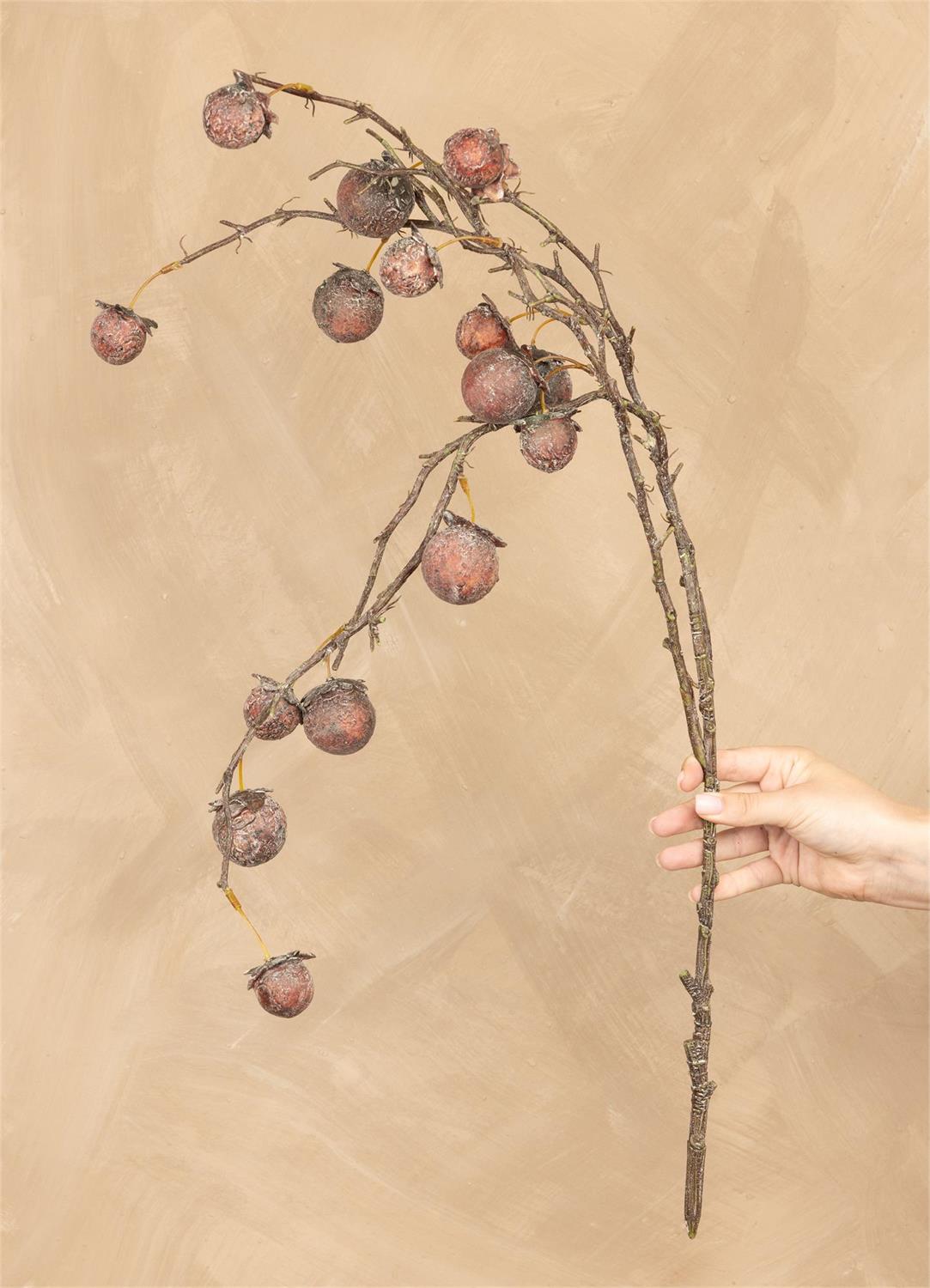 Stem - Chinaberry Burgundy