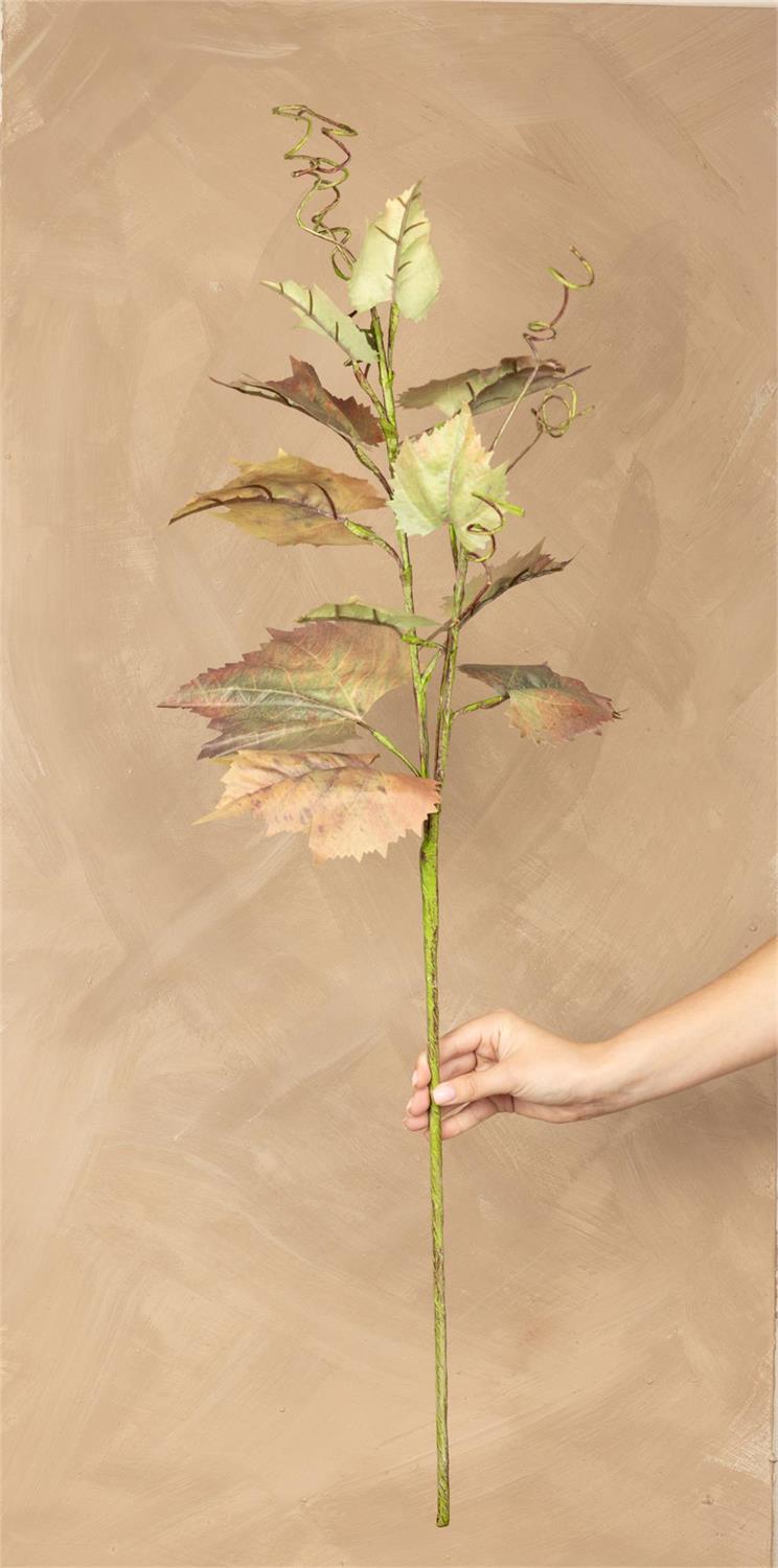 Stem - Grape Leaf Rust Green