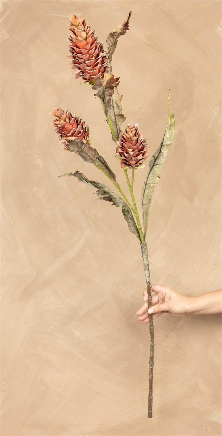 Stem - Mini Dried Look Protea