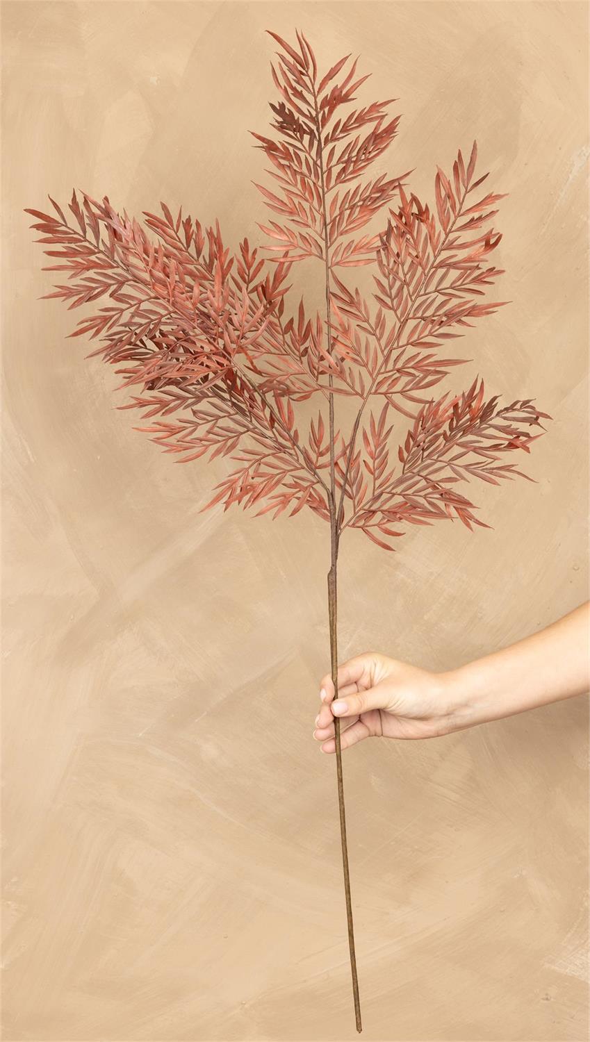 Stem - Fern Brown