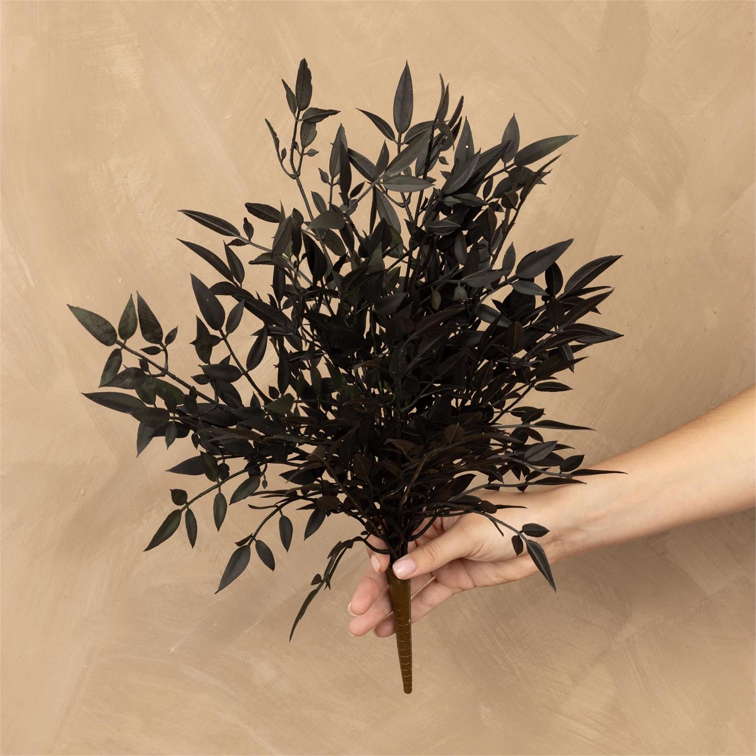 Bush - Nandian Black