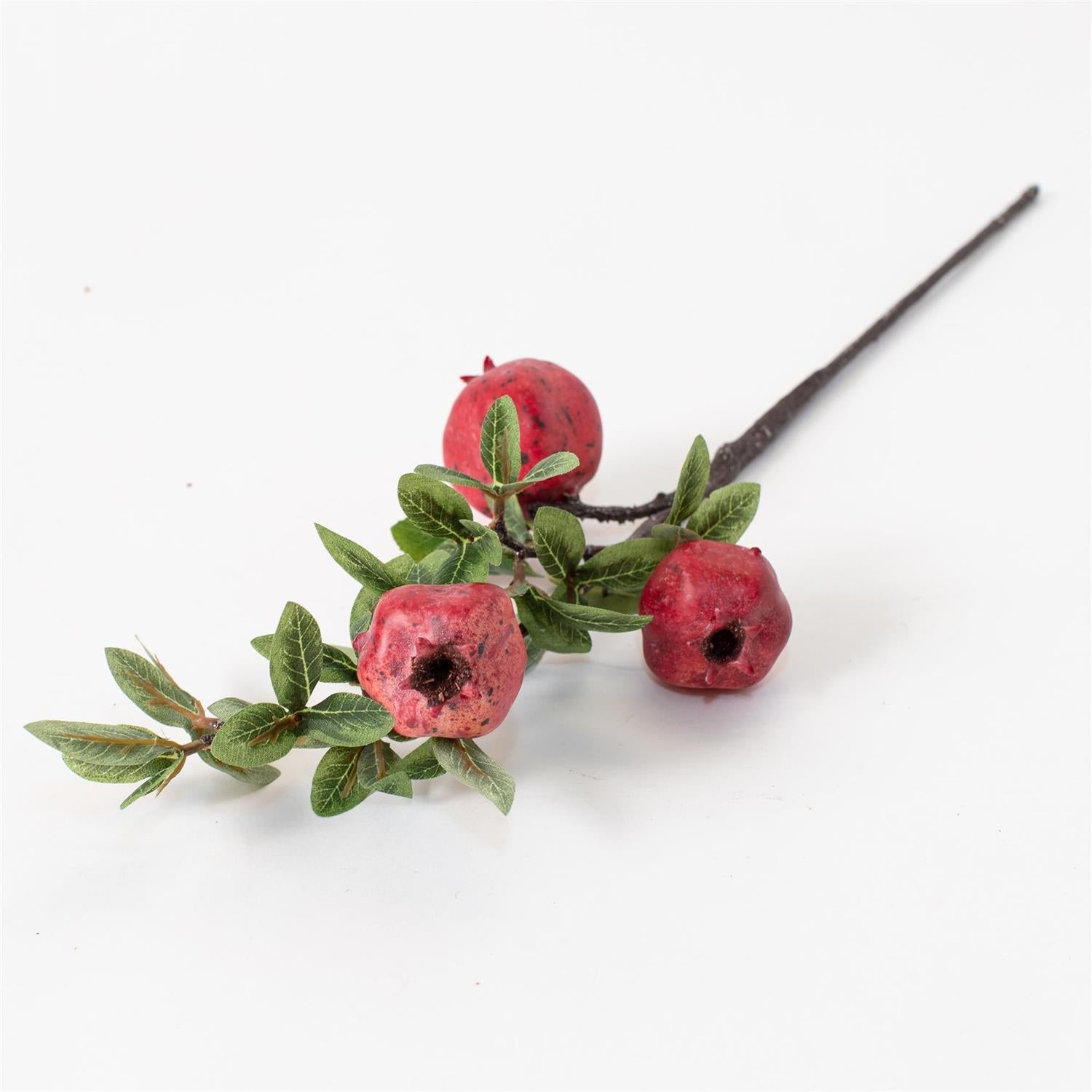 Stem - Pomegranates