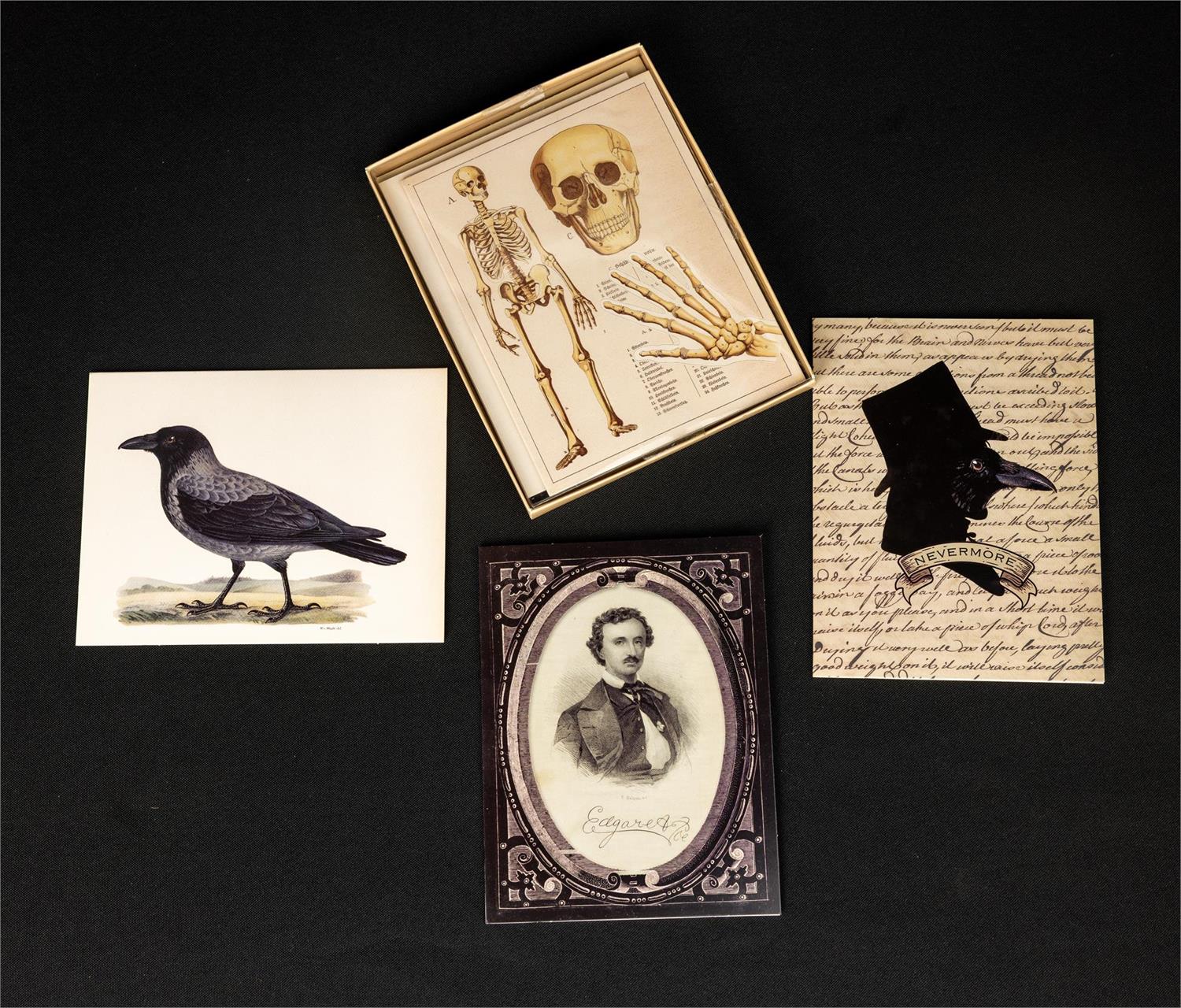Note Cards - Midnight Quill - 8 Ct Box