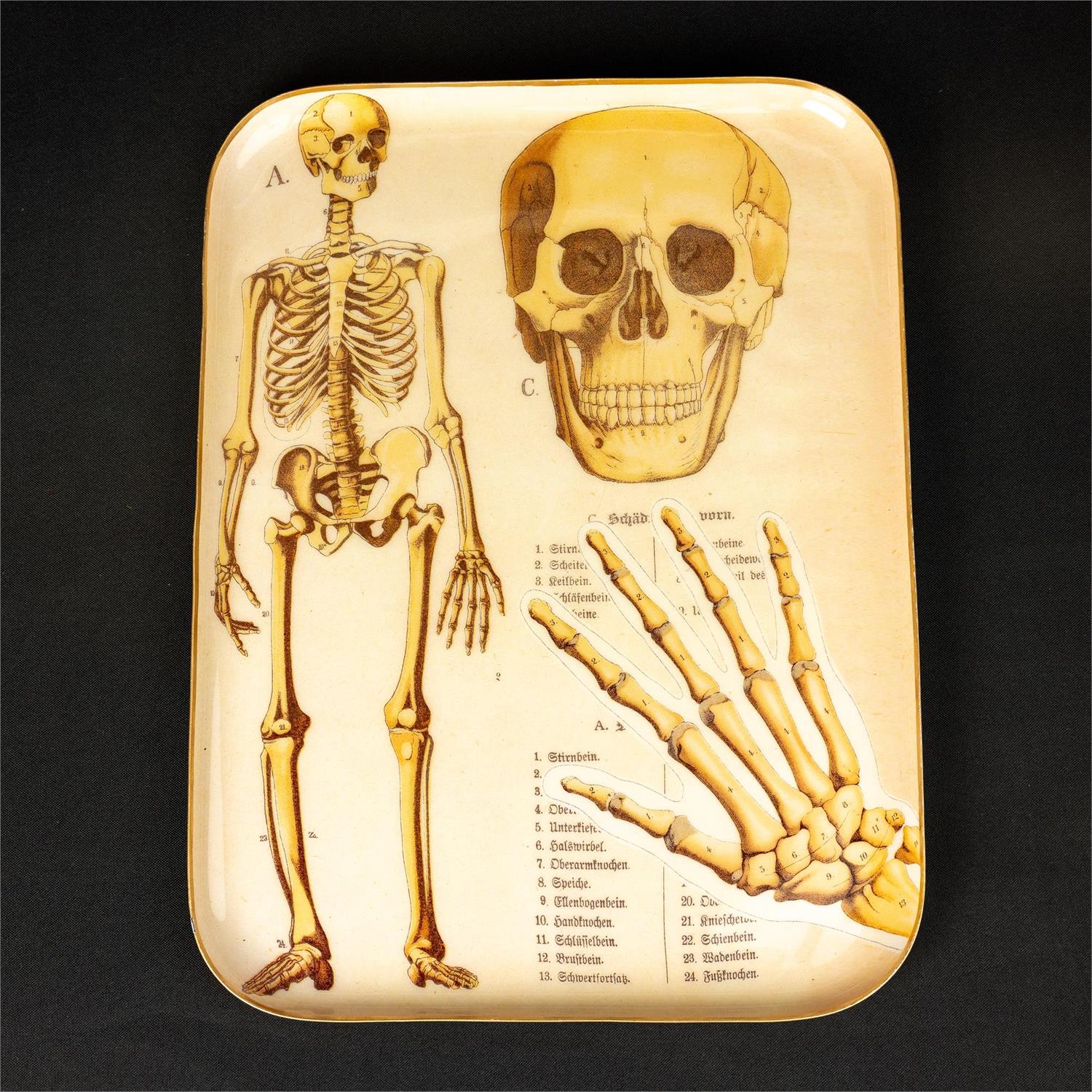 Wall Art - Skeleton & Skull Tray