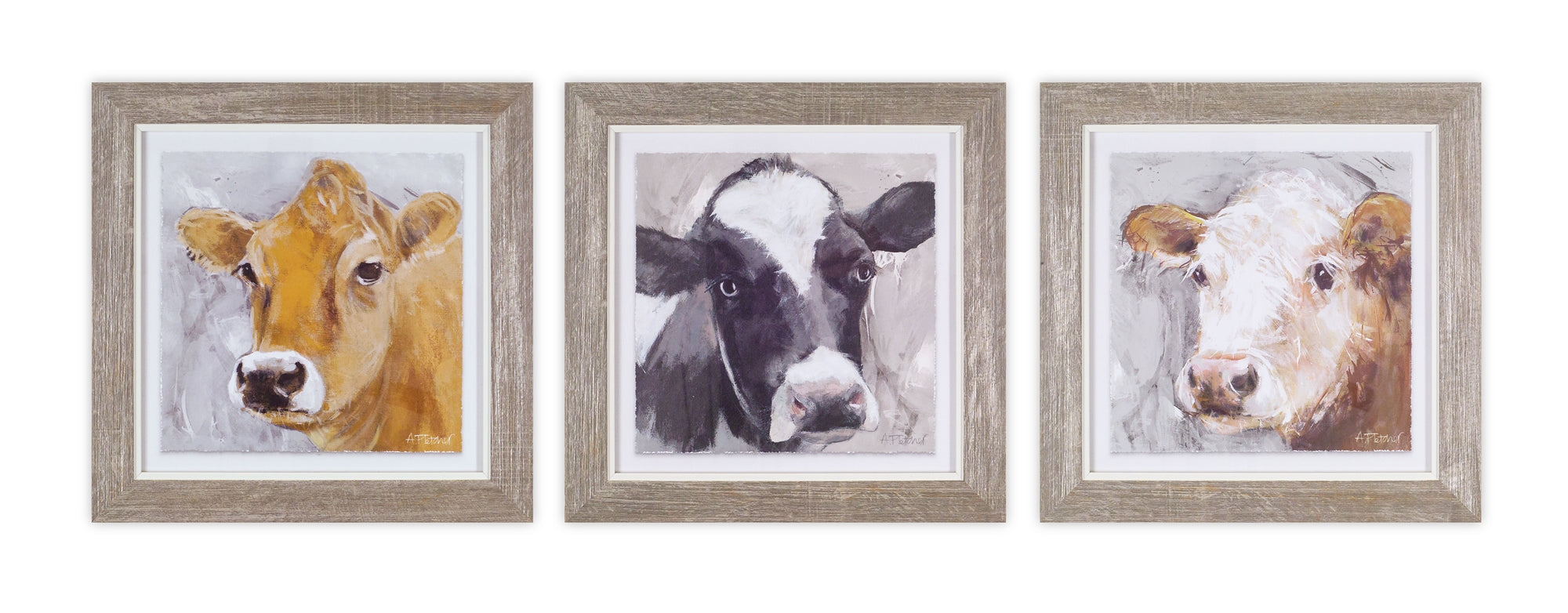 Framed Cow Print (3 Asst) 10"H Wood/Glass