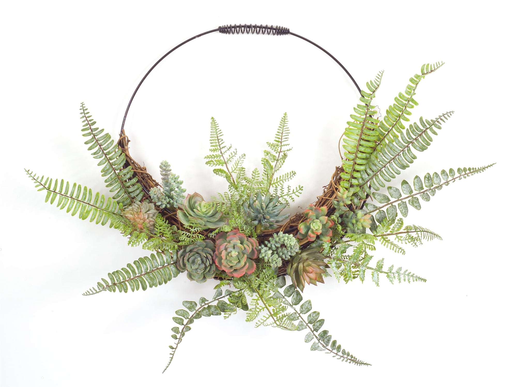 Fern and Succulent Wall Décor 24.5"L x 19.25"H /Wire
