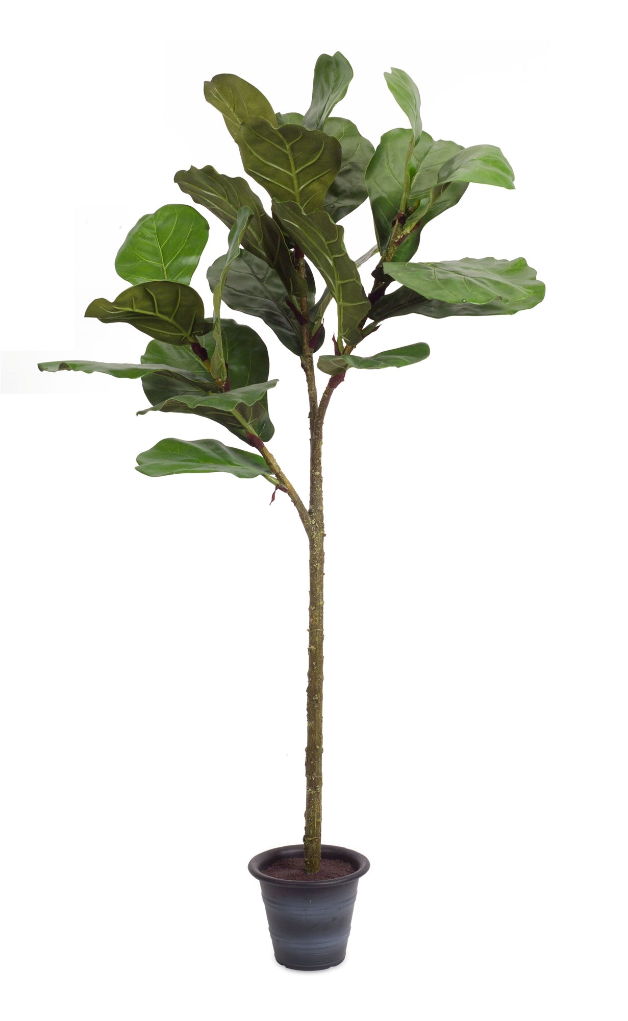Potted Fiddle Leaf Fig 4'H Polyester