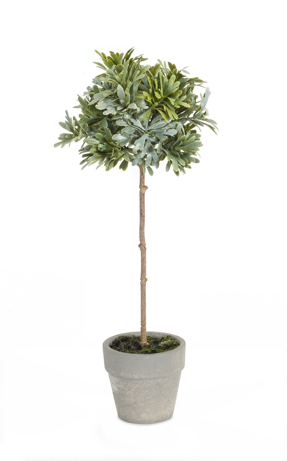 Potted Herb (S/2)