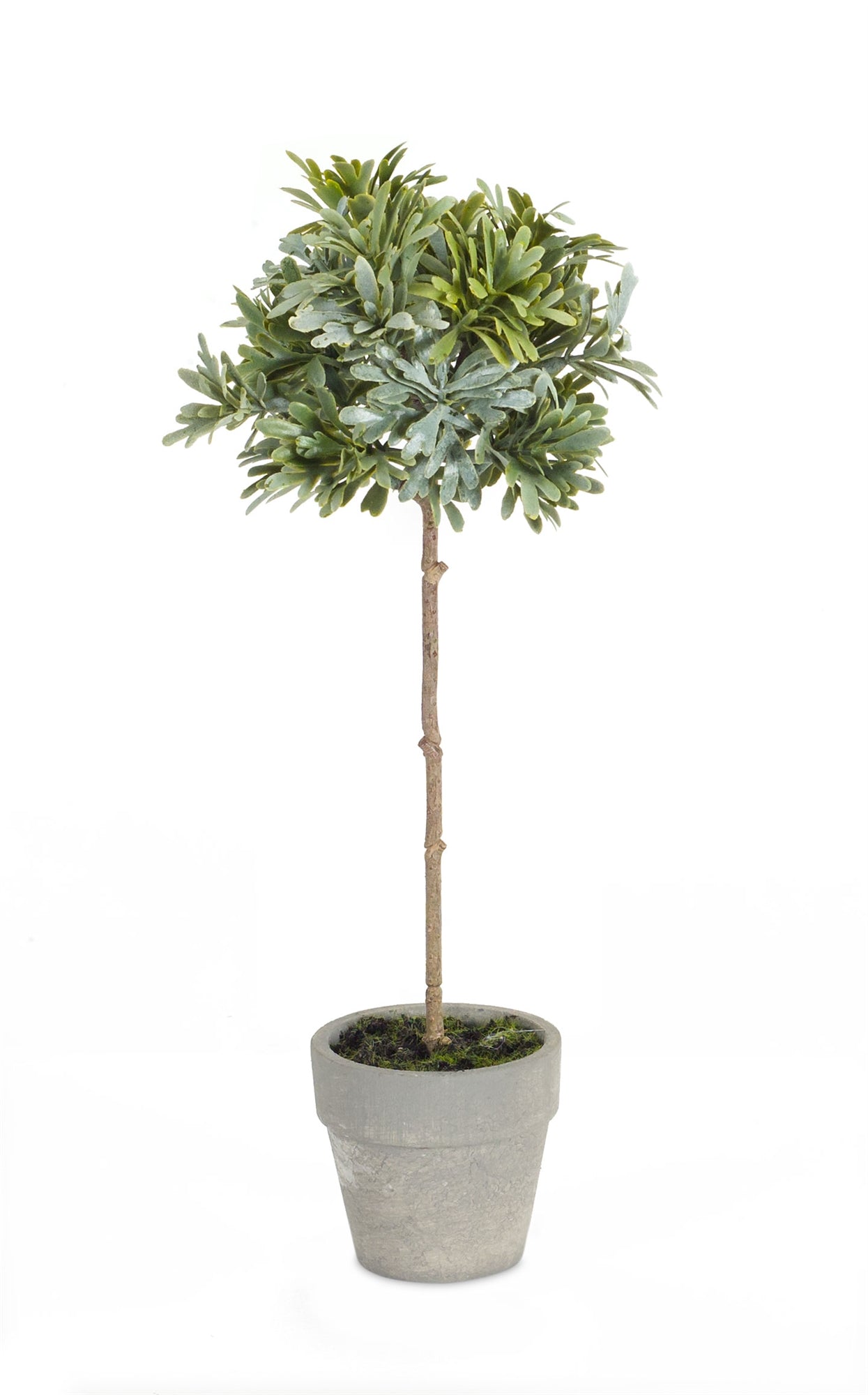 Potted Herb 11”H