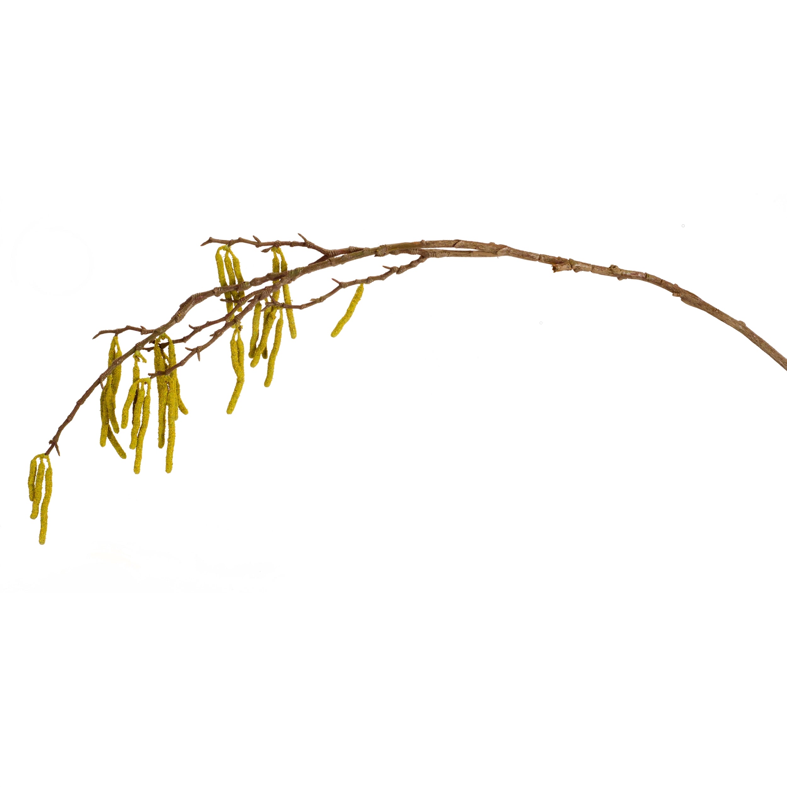 Catkin Branch 39"H