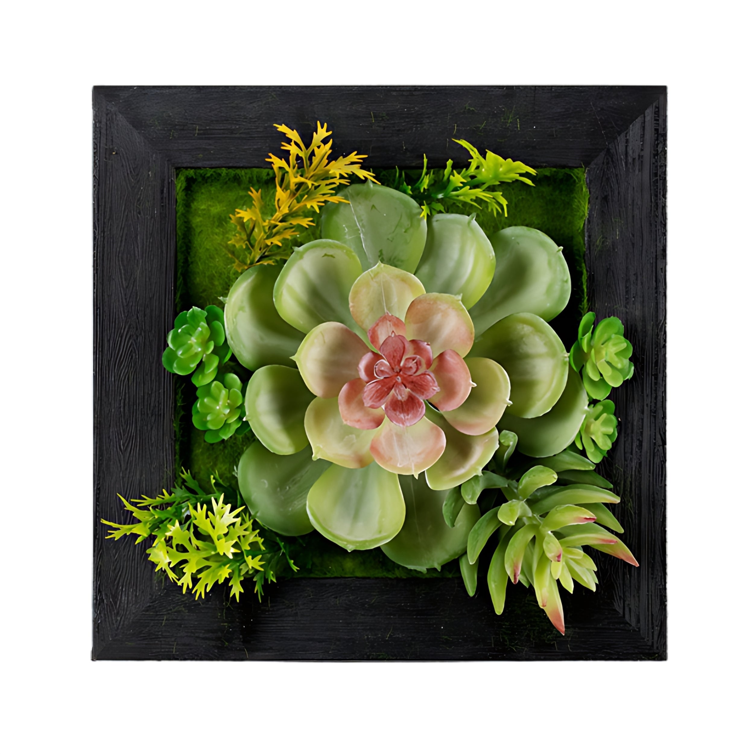 6" SQ HNG SCCLNT DECOR