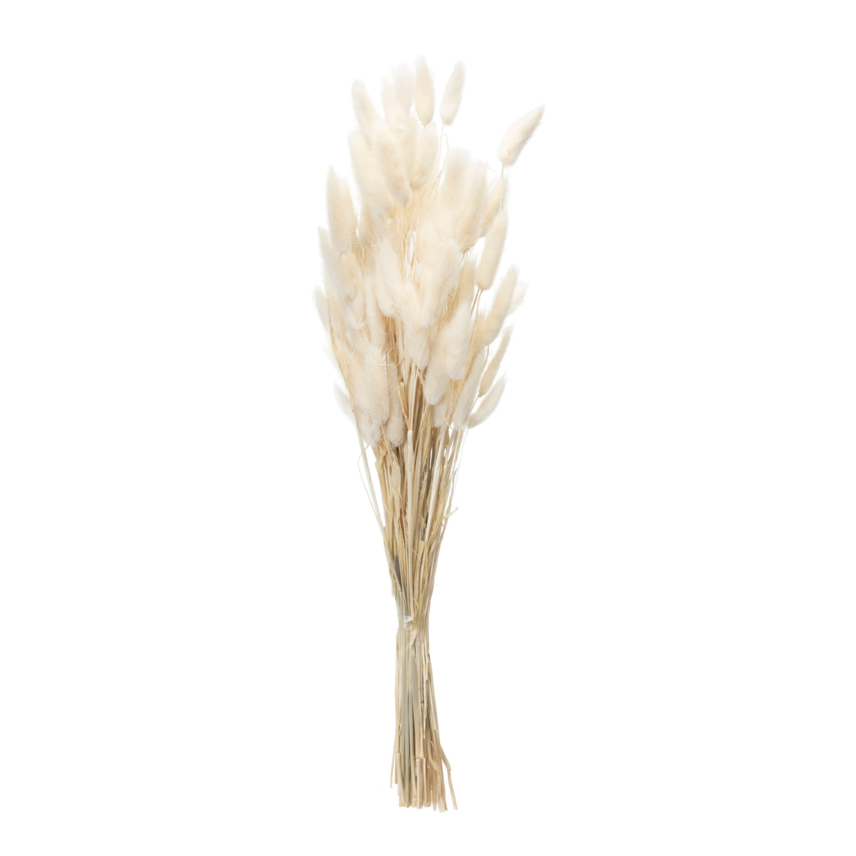 Bunny Tail Bundle (S/2)