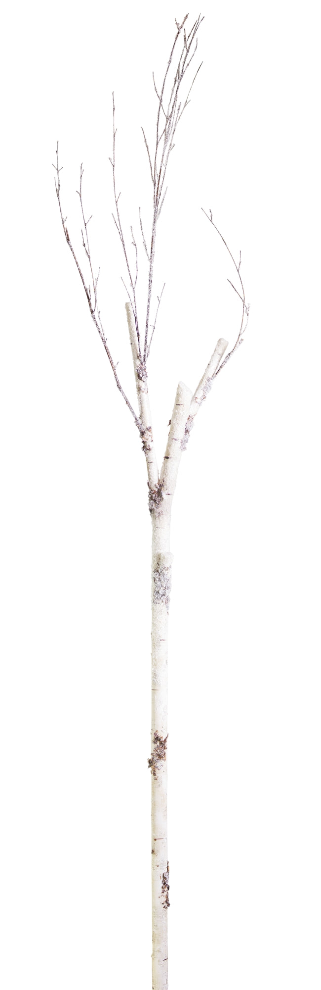 Rustic Birch Twig Branch with Snowy Accents (Set of 12)