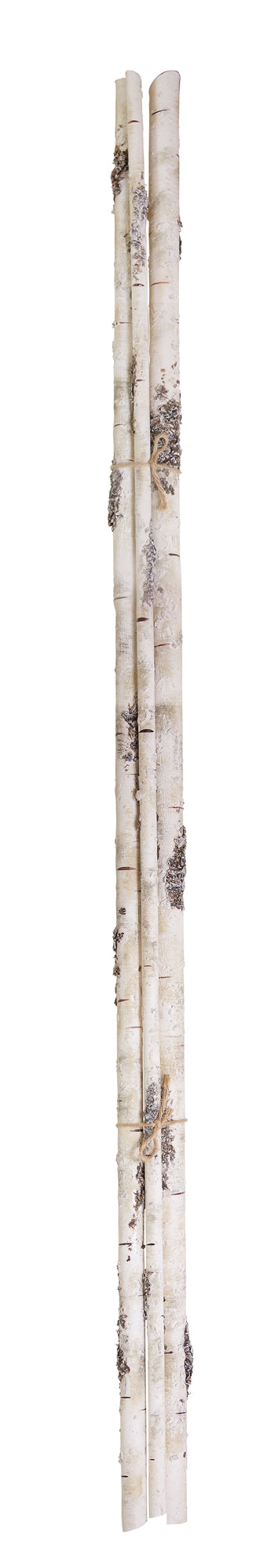 Rustic Birch Stick Bundle with Snowy Accent (Set of 12)