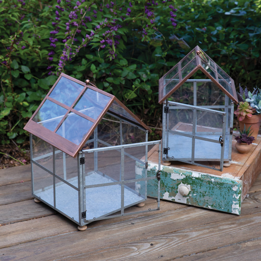 Two Tone Terrariums (S/2)
