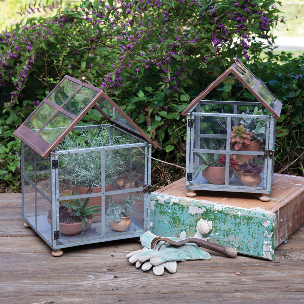 Two Tone Terrariums (S/2)