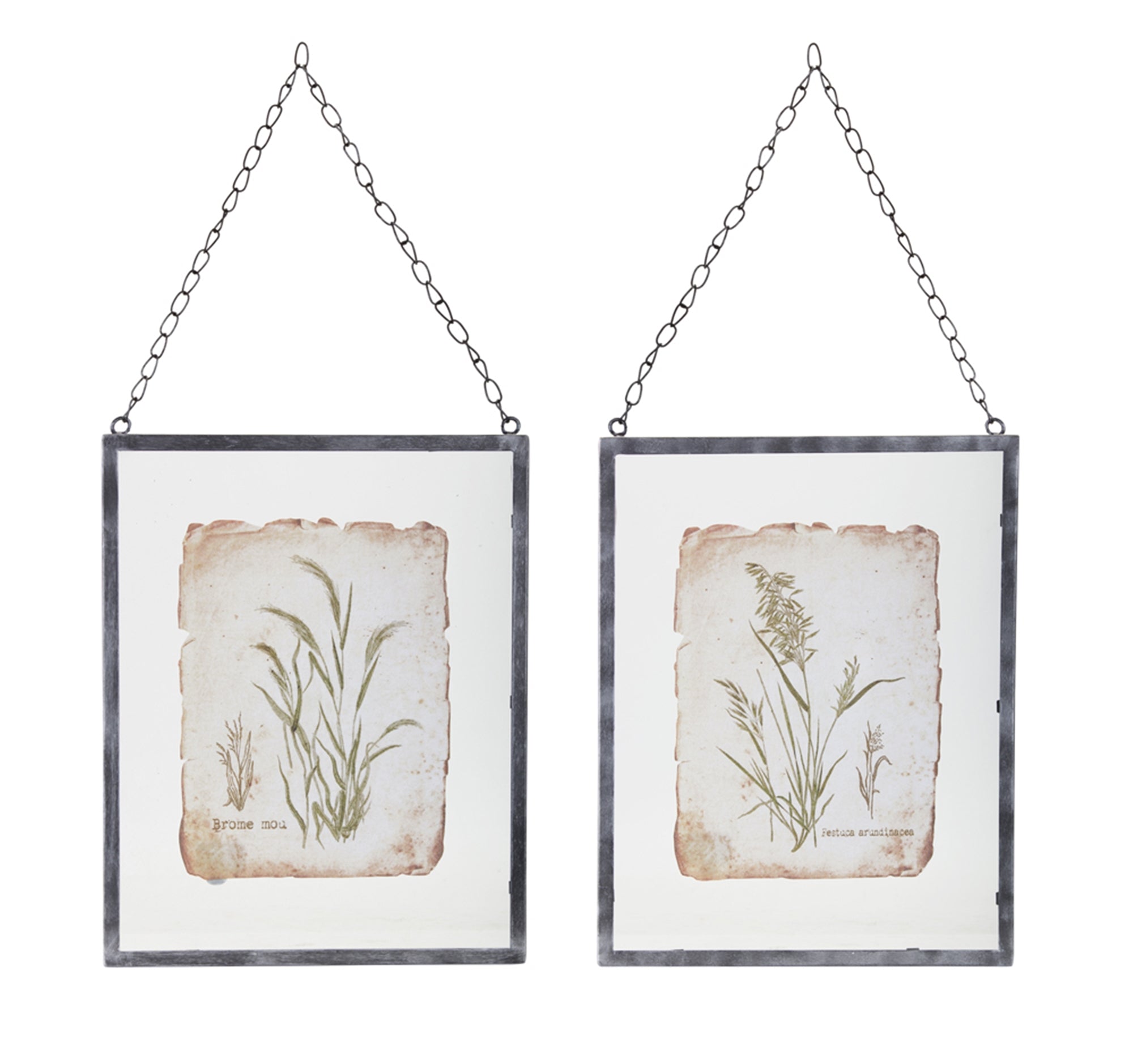 Grass Frame (2 Asst) 12.5"L x 16"H Glass/Metal