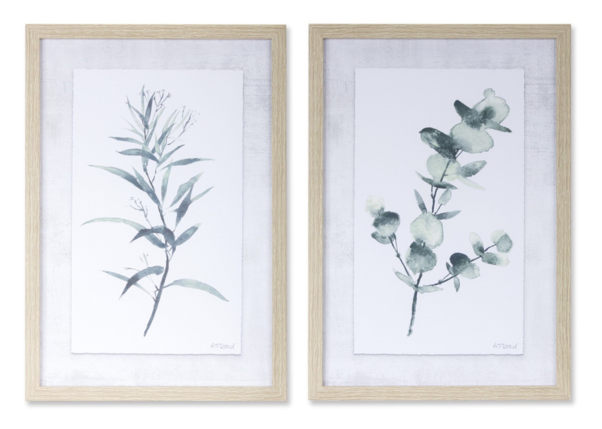 Eucalyptus Print (2 Asst) 12.75"L x 18.25"H /Wood