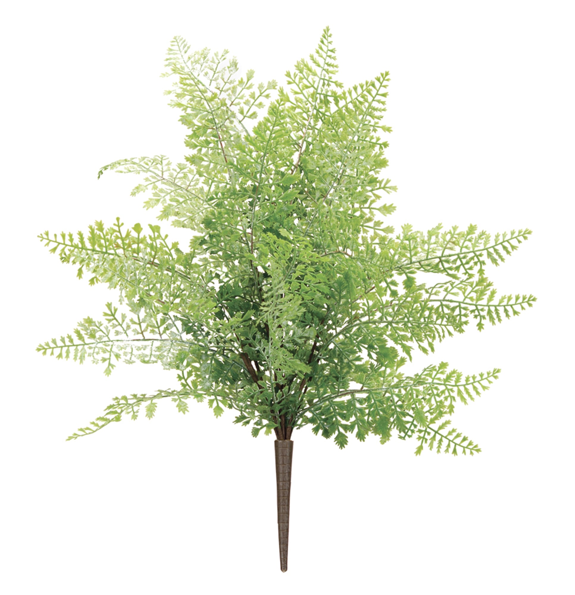 Fern Bush 19"H
