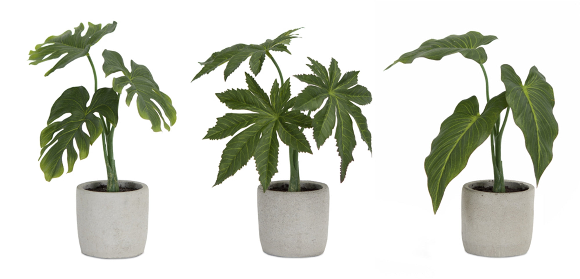 Potted Foliage (3 Asst) 10"H, 10.5"H, 11.5"H Polyester/