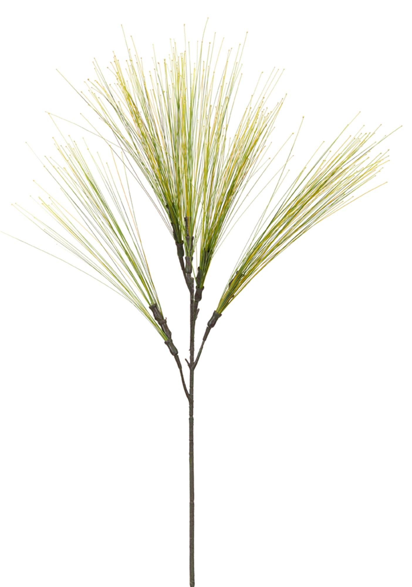 Grass Bush 29"H