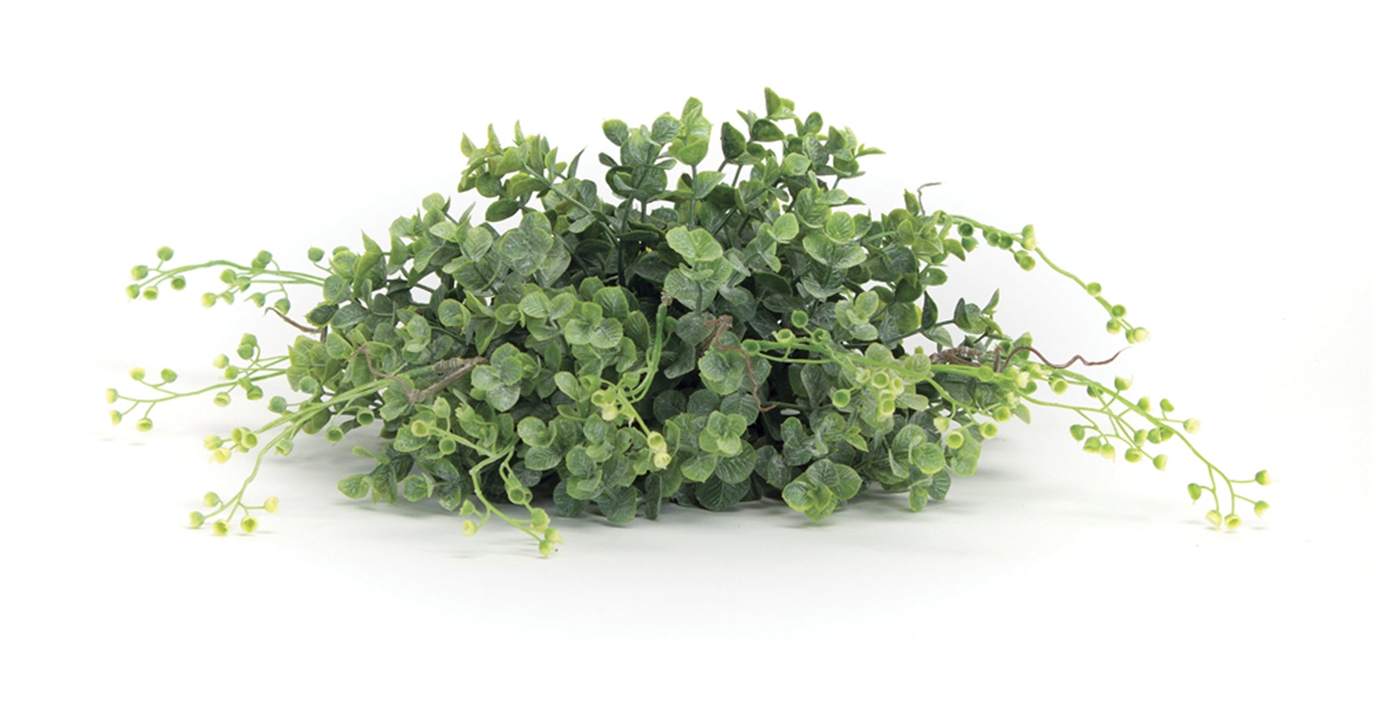 Boxwood Half Orb 12”D