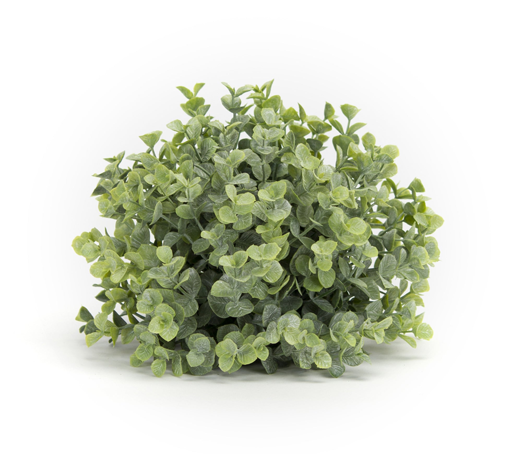 Boxwood Half Orb 7”D