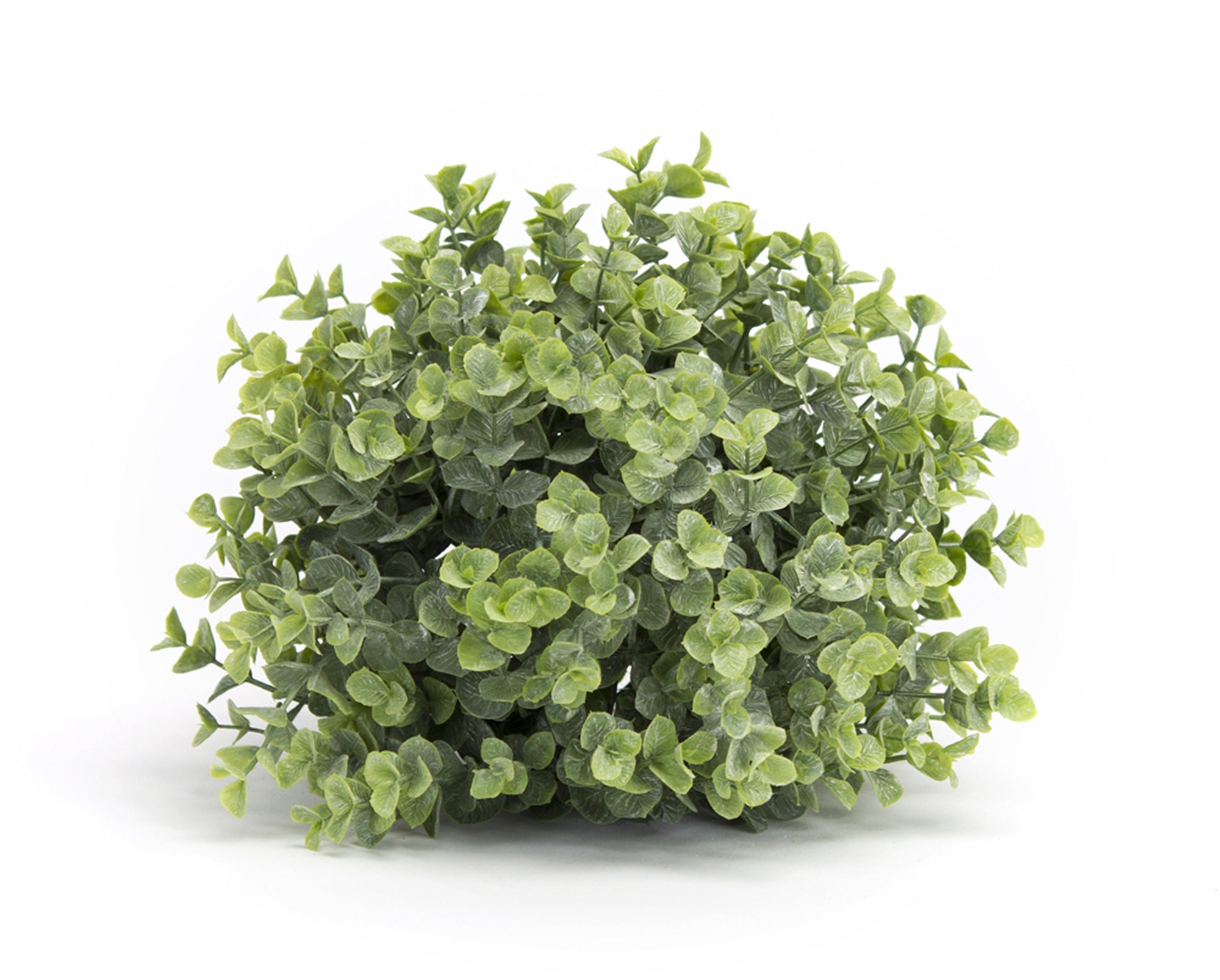 Boxwood Half Orb 9”D