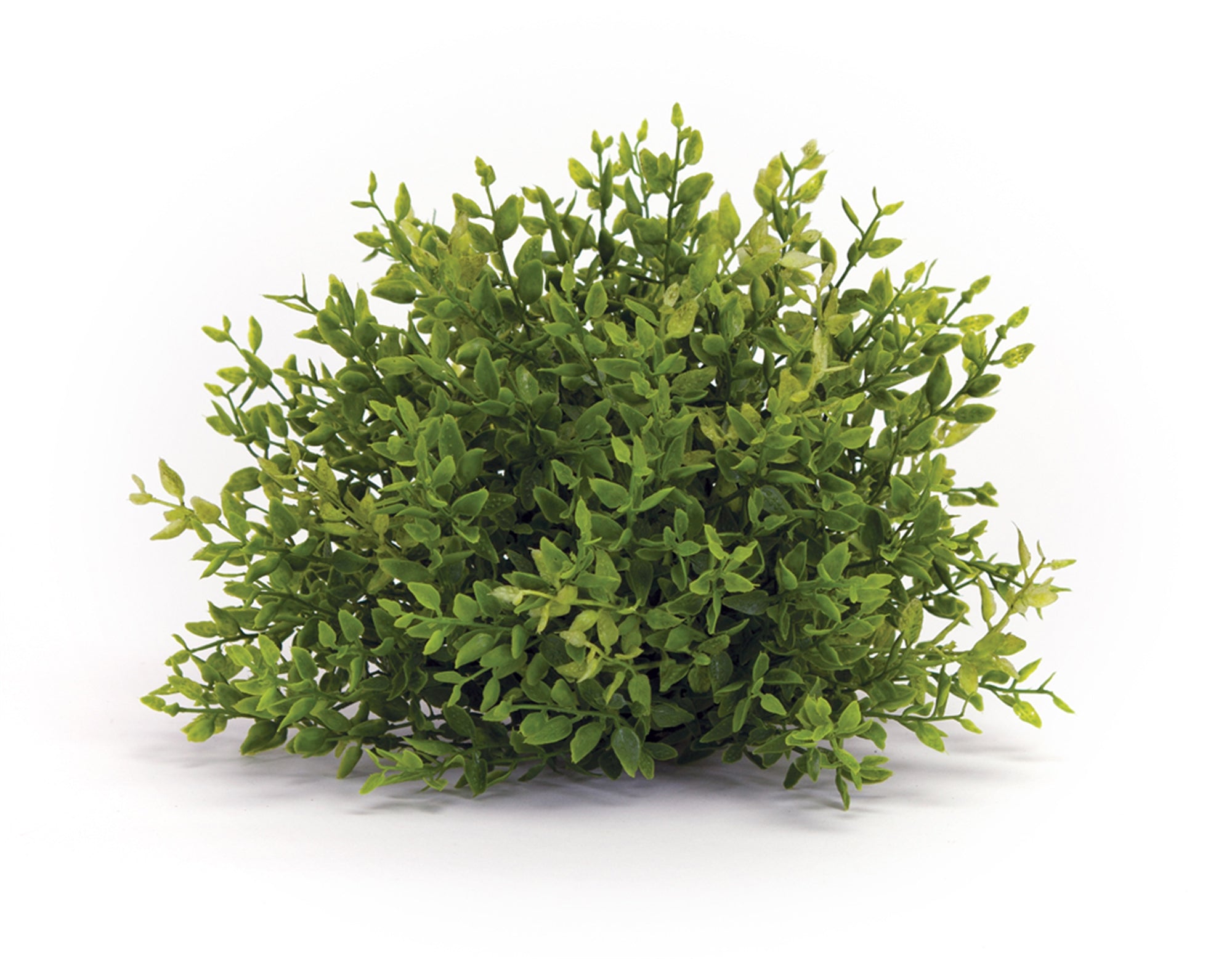 Mini Leaf Half Orb 7”D