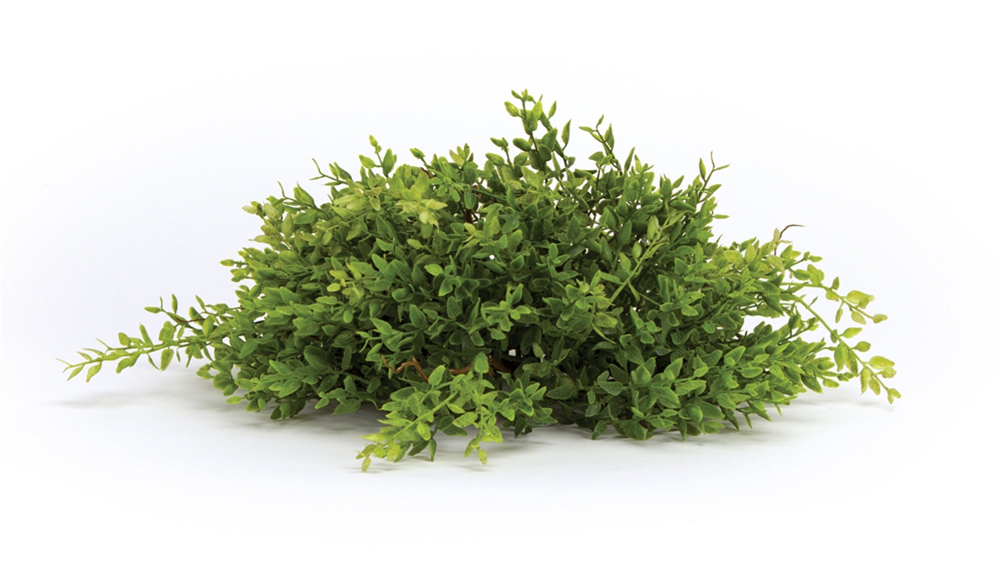 Mini Leaf Half Orb 13”D