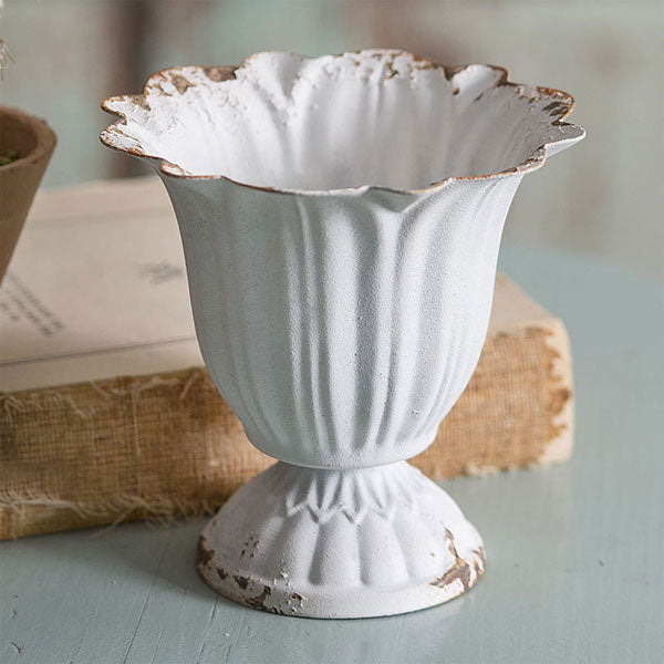 Small Scalloped Cup - Min of 4