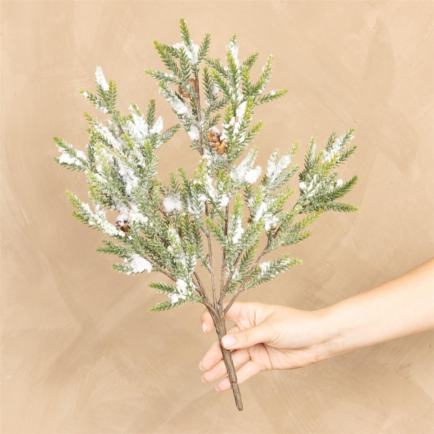 Bunch - Mini Pine With Snow And Pinecones