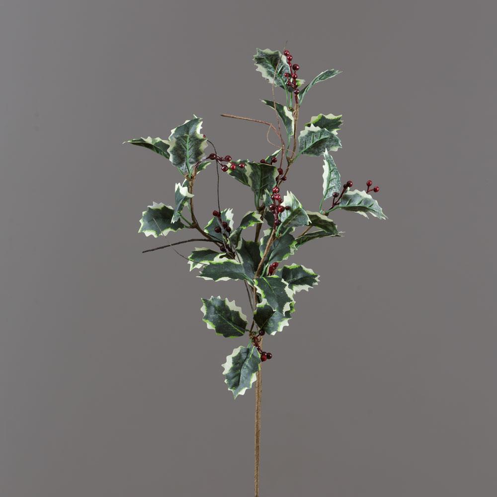 Branch - Variegated Holly and Berries