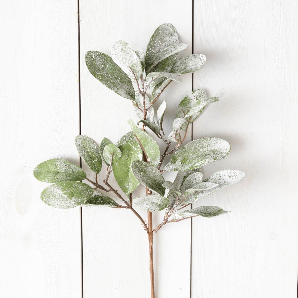 Frosted Lamb's Ear Pick