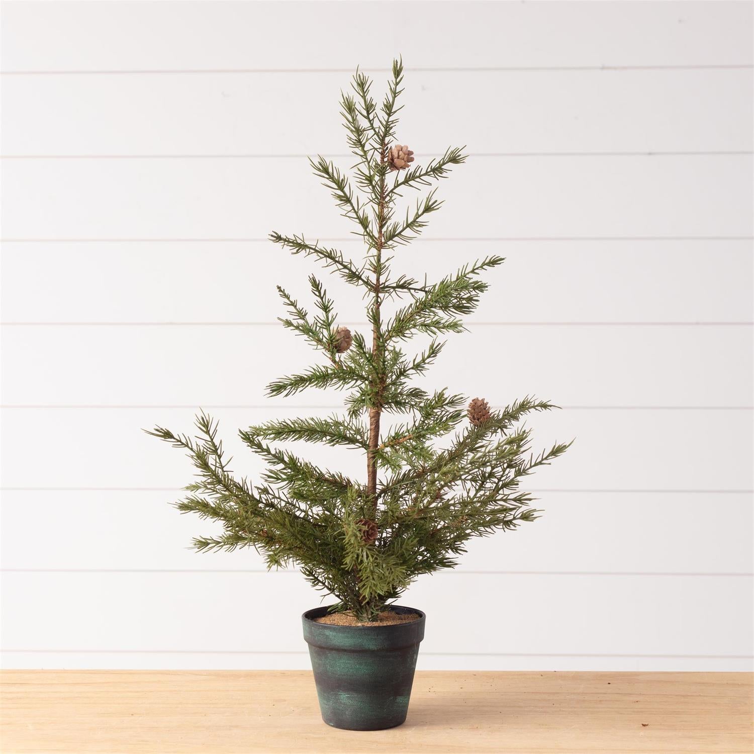 Potted Christmas Fir Pine Tree (S)