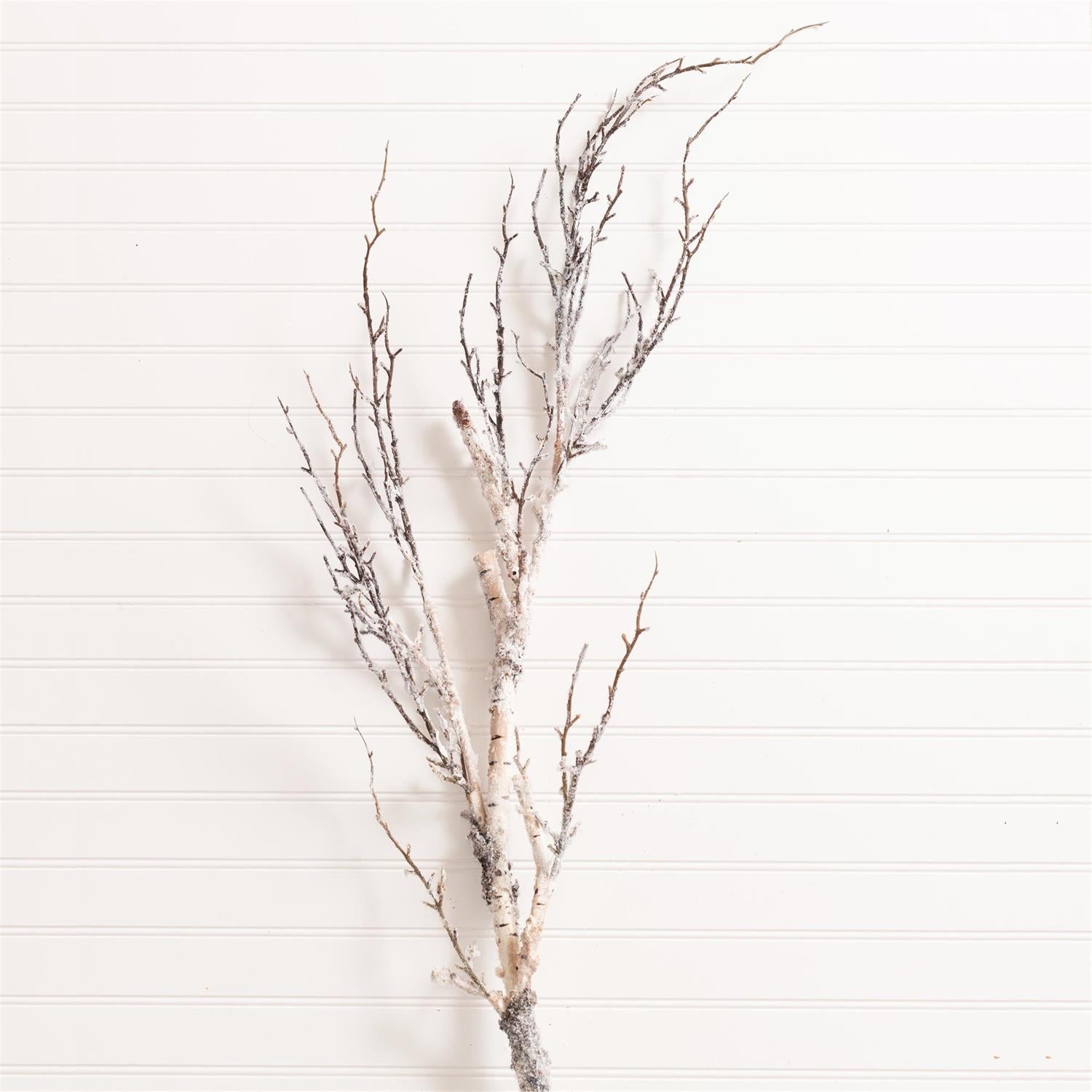 Twiggy Birch Branch