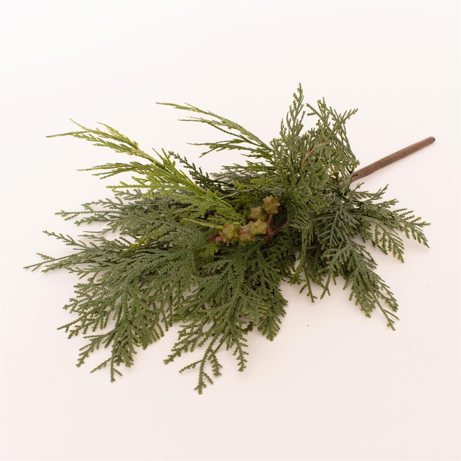 Bunch - Western Red Cedar