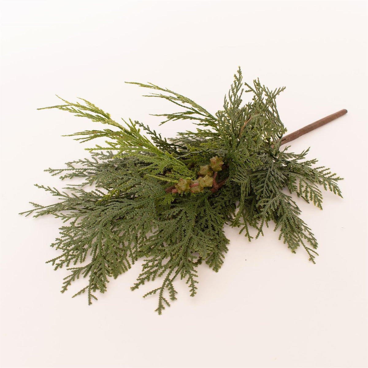Bunch - Western Red Cedar