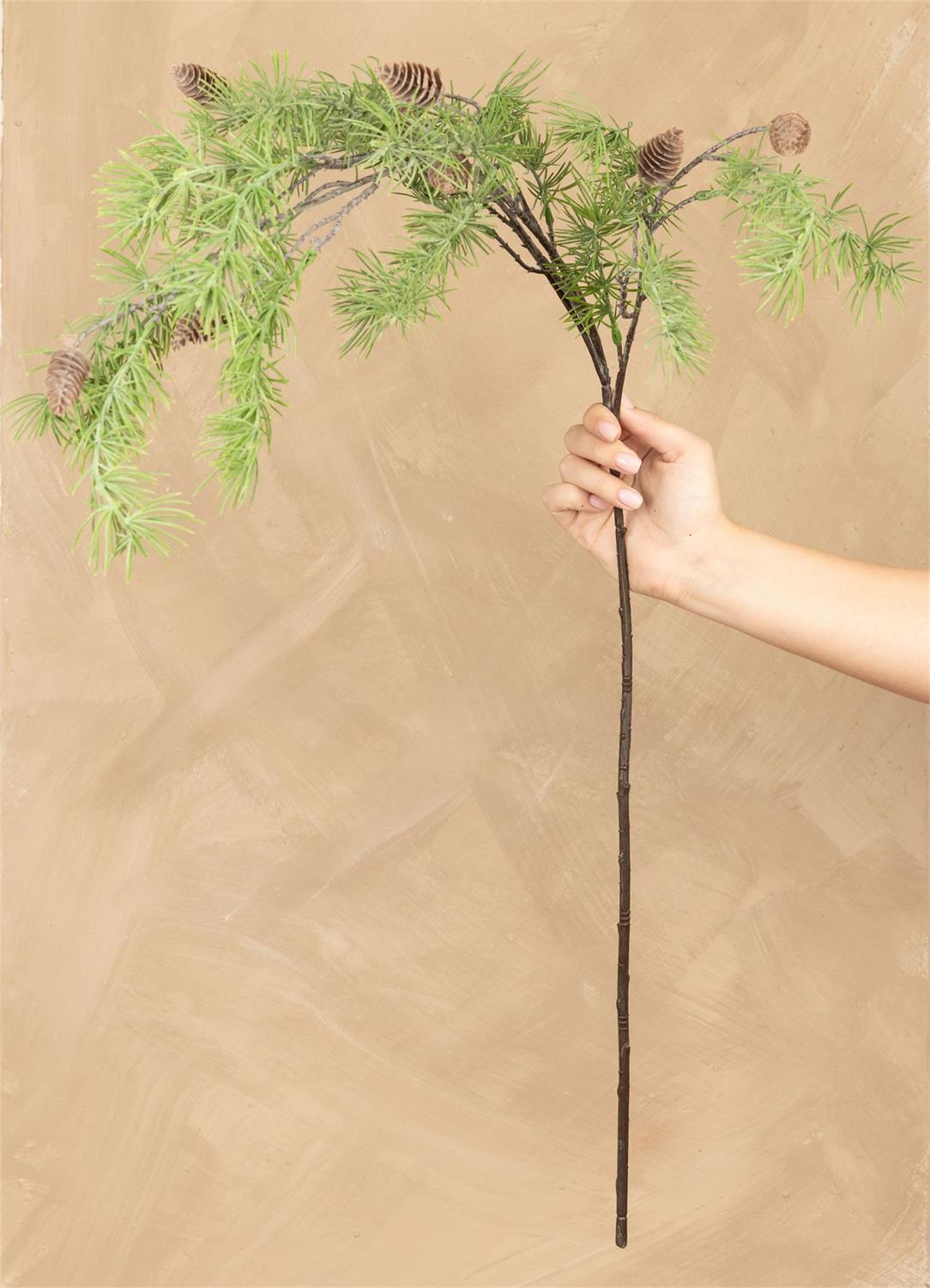Stem - Deodara Pine With Cones