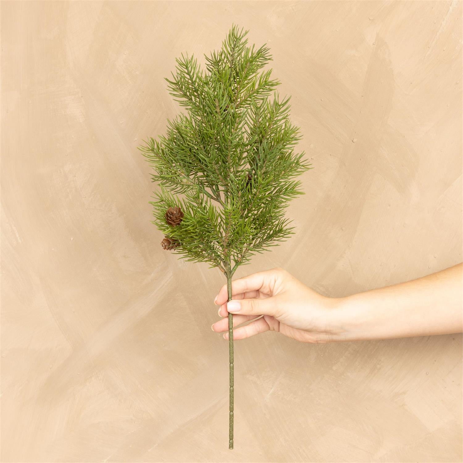 Stem - Hemlock With Pinecones