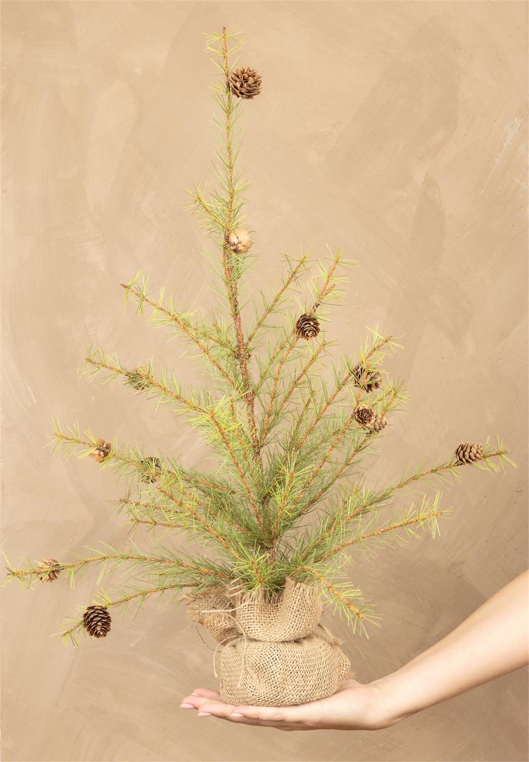 Spruce Pine Tree With Pinecones 24"