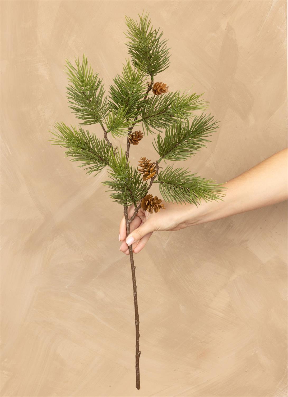 Stem - Angel Pine With Pinecones