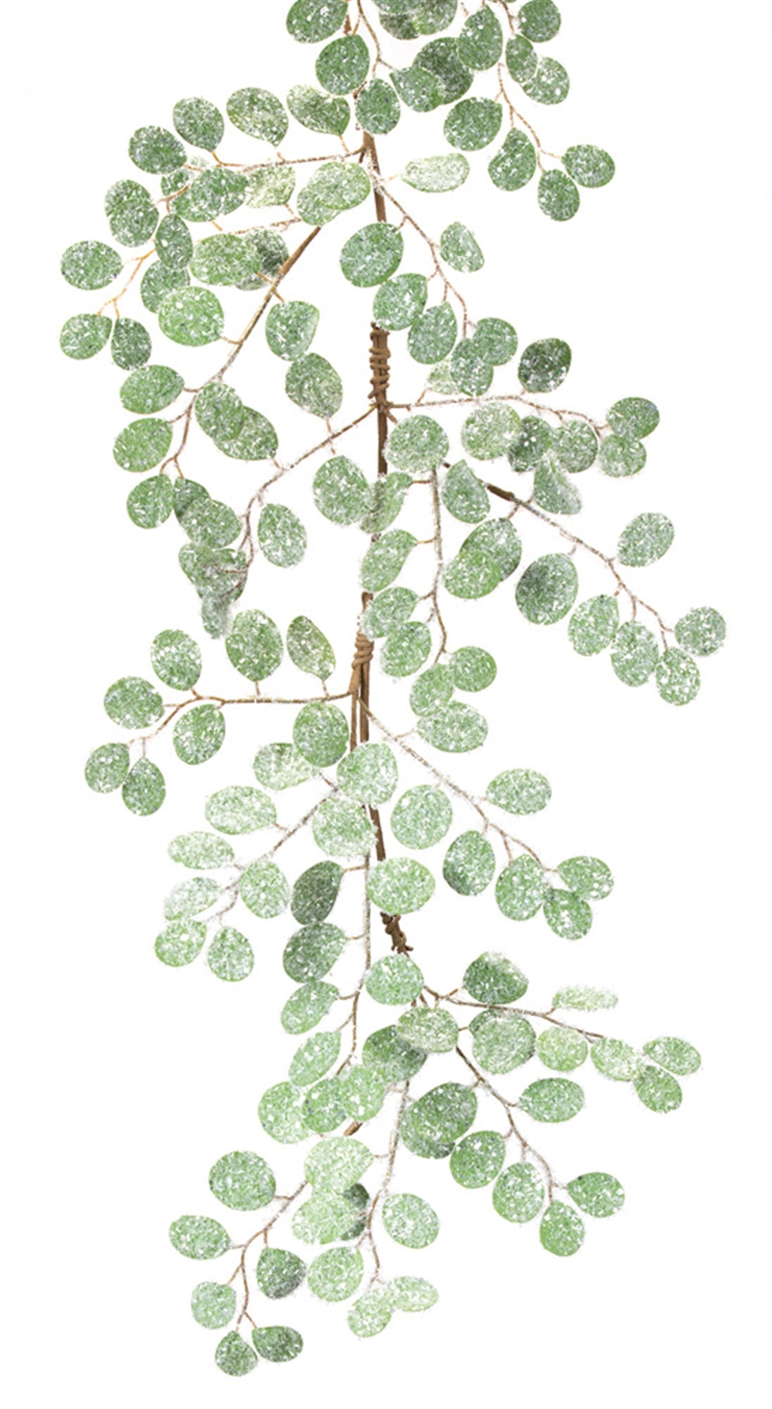 Frosted Silver Dollar Eucalyptus Garland (Set of 12)