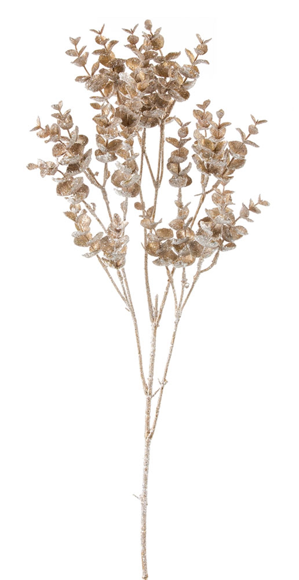Eucalyptus Spray 33"H