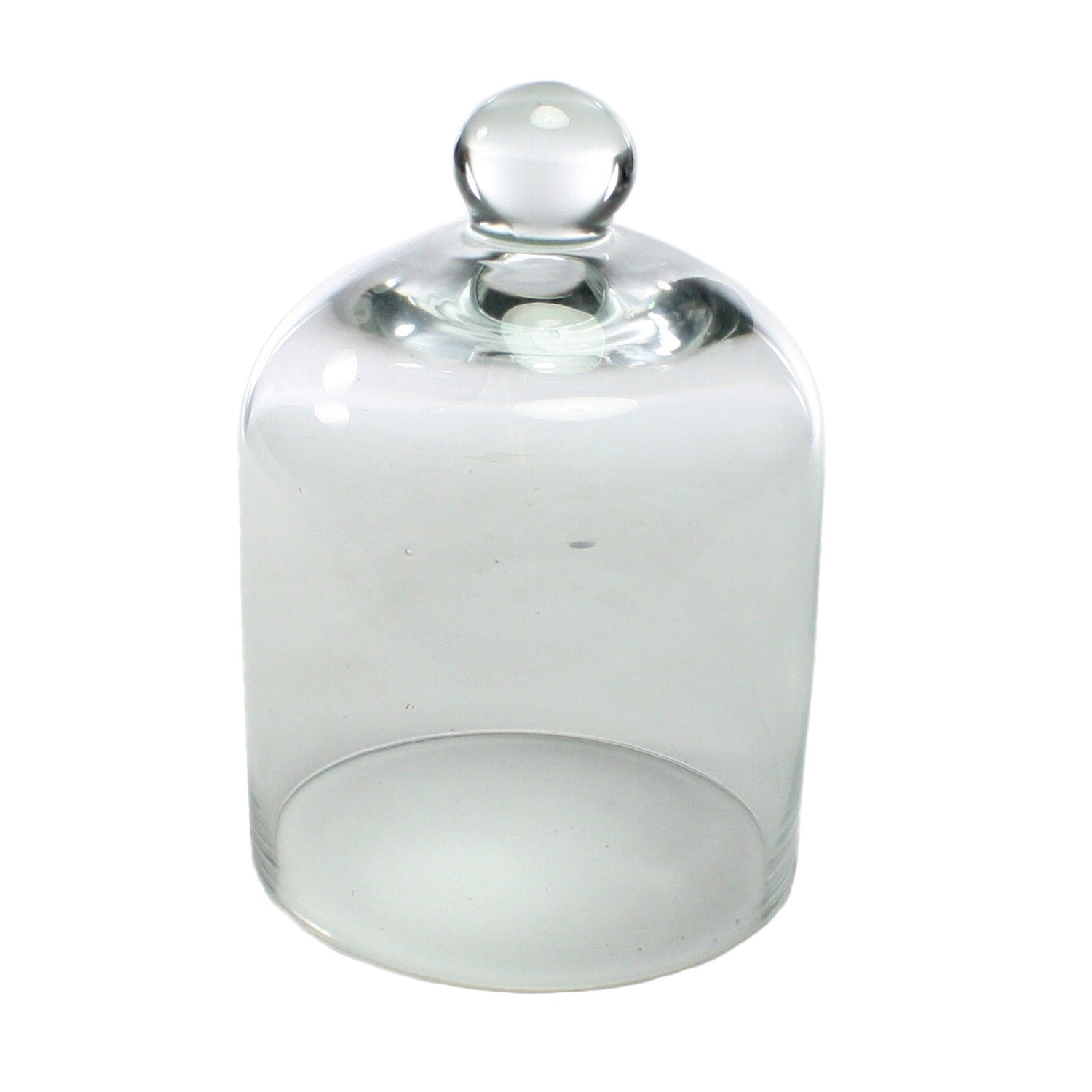 Glass Dome - Mini - Clear