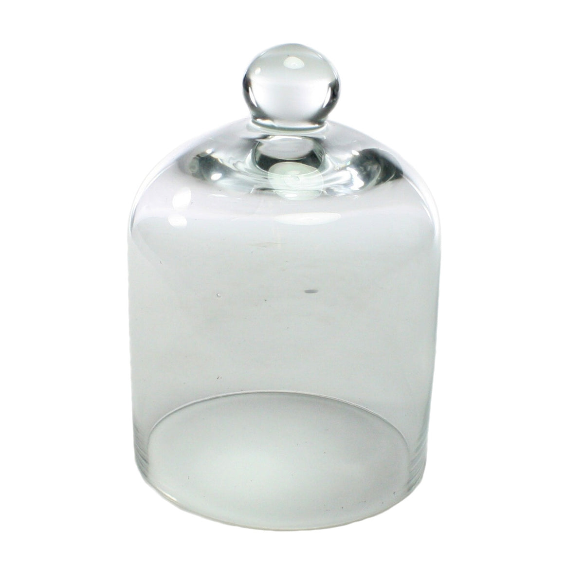 Glass Dome - Mini - Clear