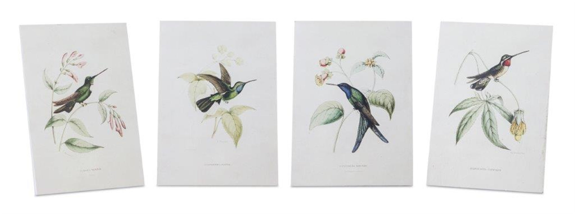 Hummingbird Print (4 Asst) 5.5"L x 8"H Wood/Wood/Paper