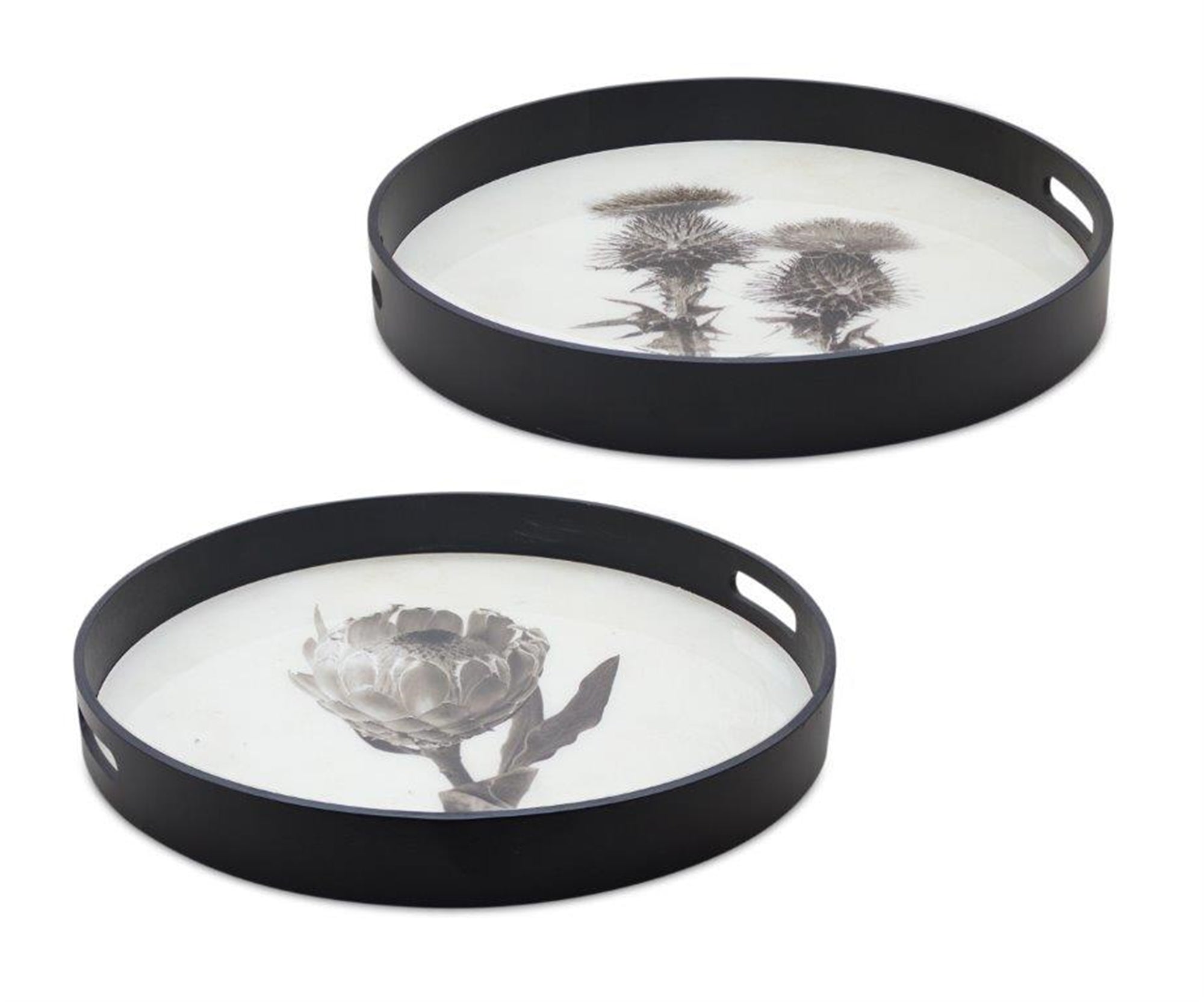 Botanical Tray (Set of 2) 18"D, 19.25"D Wood/Glass/Paper