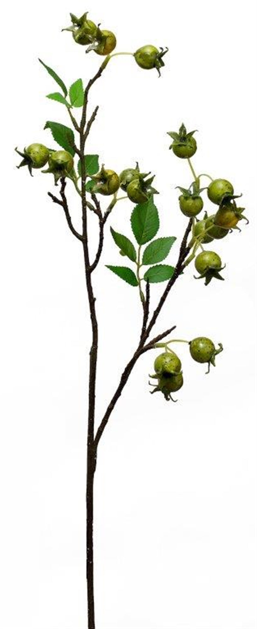 Rose Hip Spray 33.75"H Foam/